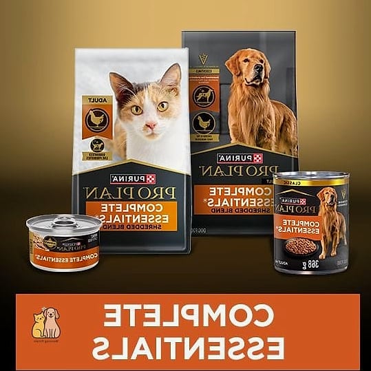40 Simple Best Cat Food Brands Your Pet Will Beg For More 3 Purina Pro Plan
