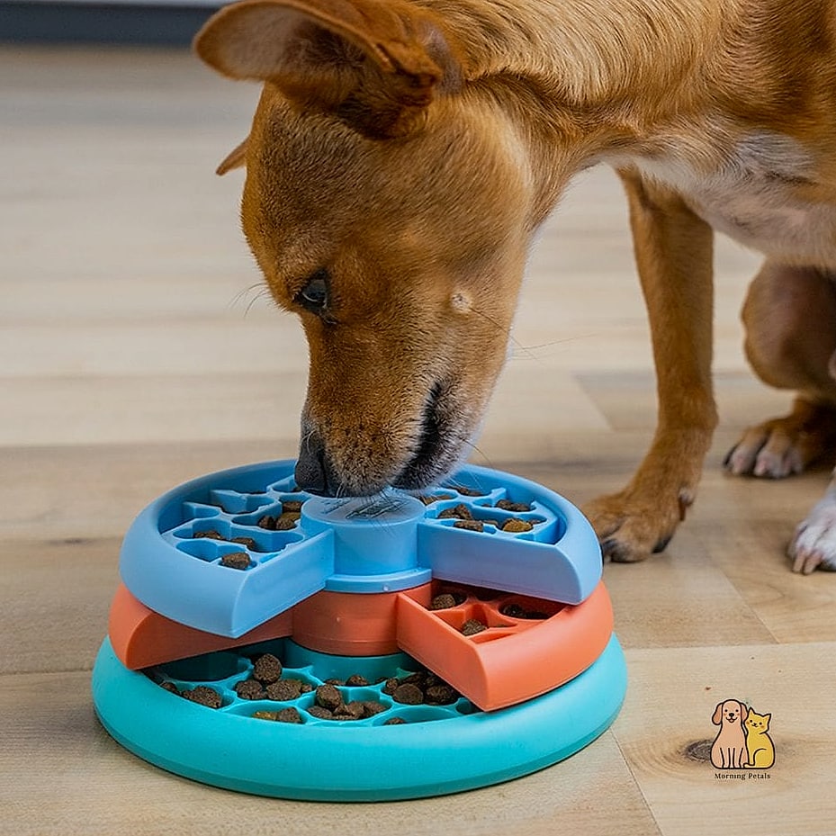 30 Perfect Dog Friendly Living Room Ideas That Will Inspire You 27 A Puzzle Feeder Station for Mealtime Enrichment