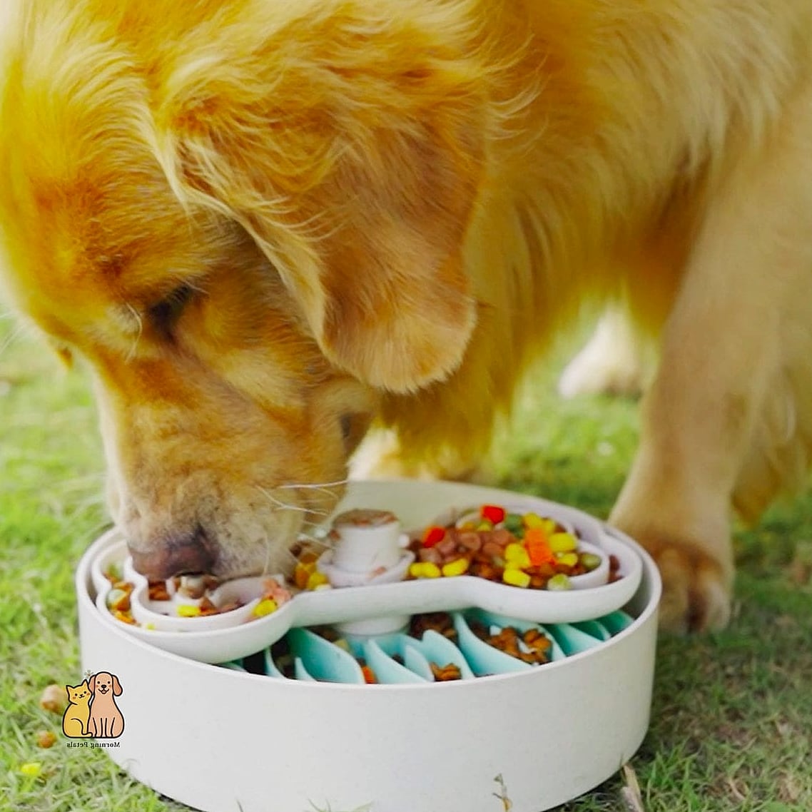 The Puzzle Feeder That Turns Mealtime Into Playtime