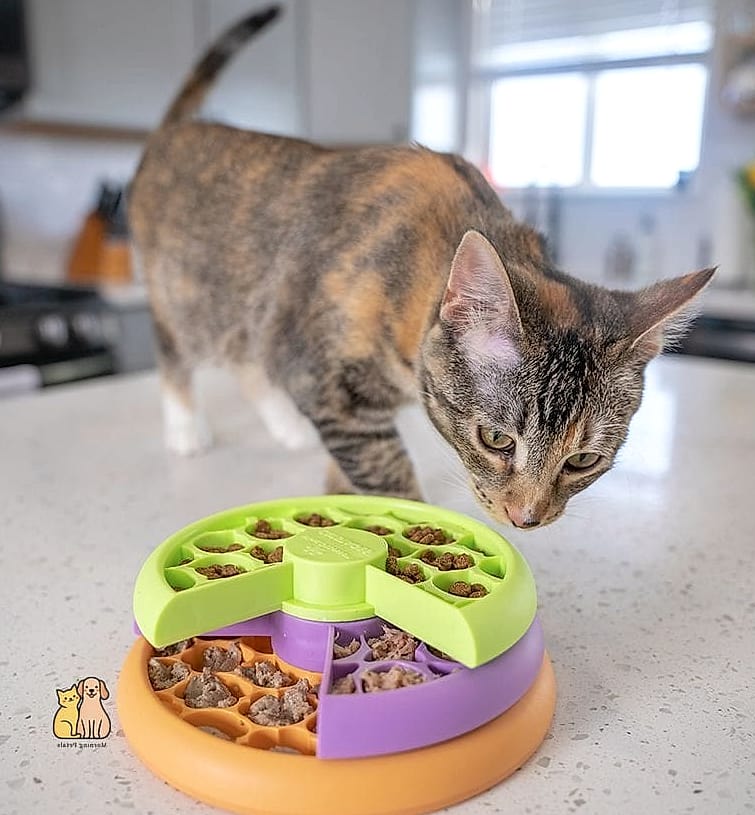 15 Genius Cat Food Setup Ideas Your Pet Will Beg For More 5 The Puzzle Feeder Corner