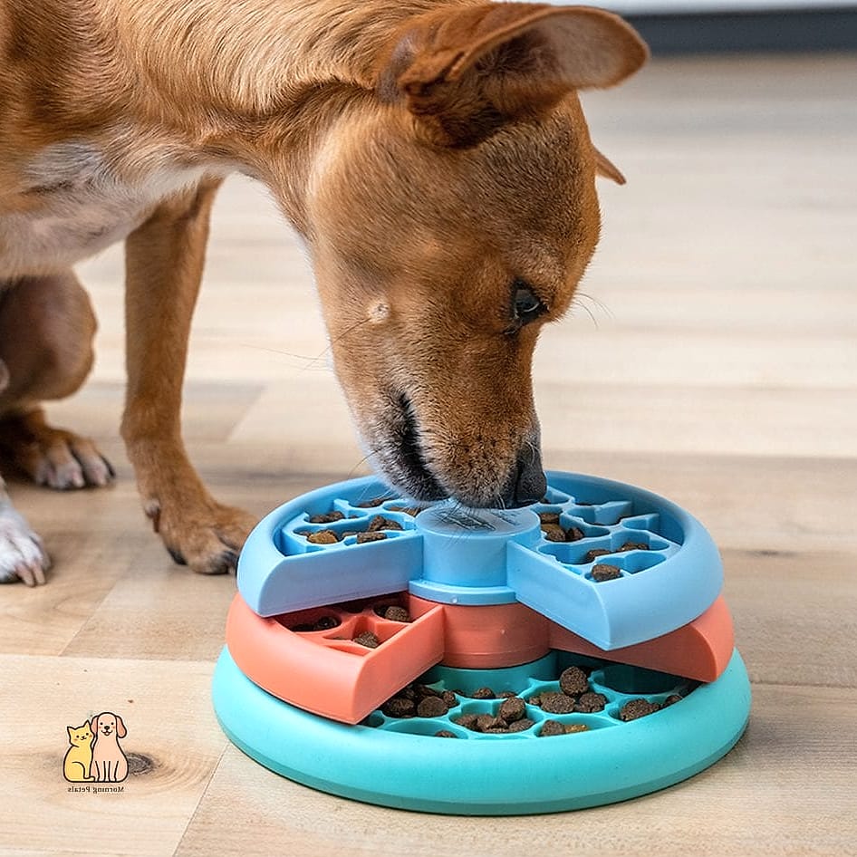 15 Gorgeous Dog Remedies That Prove Pets Are the Best 7 Puzzle Feeders for Mental Stimulation