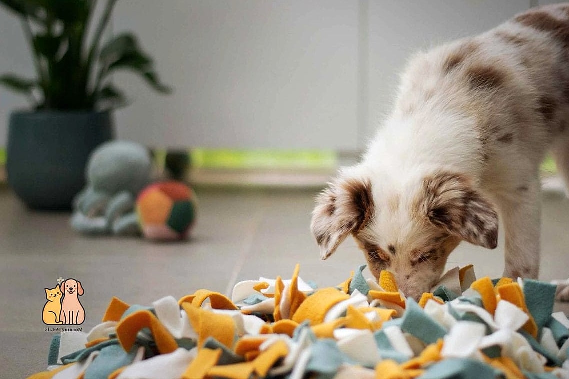 Puzzle Feeders