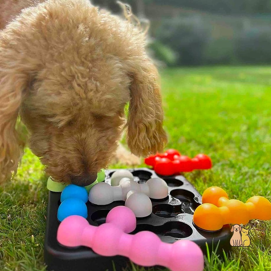 20 Heartwarming Dog Accessories You Need in Your Life Right Now 11 A Puzzle Toy That Hides Treats in Layers