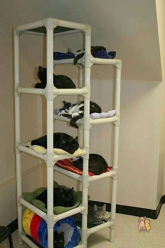 The PVC Pipe Skyscraper