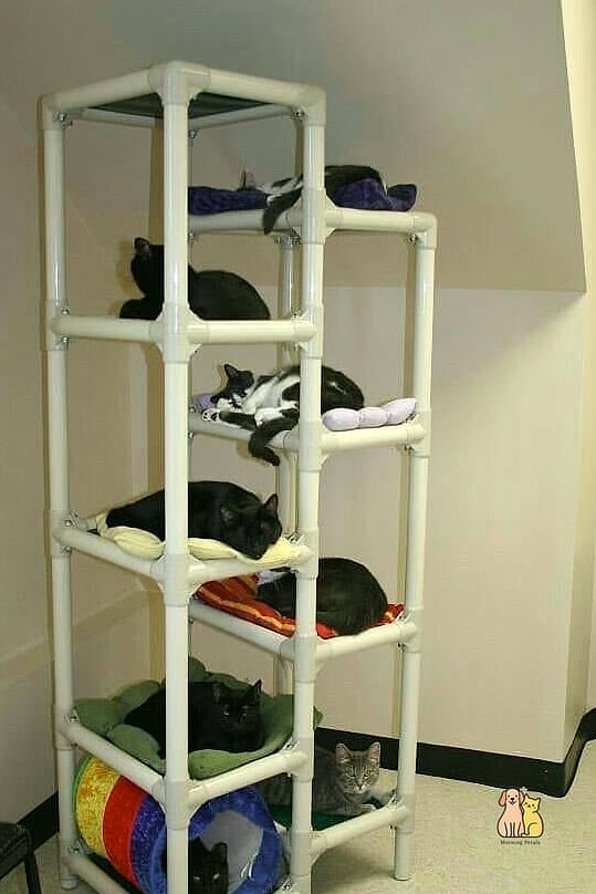 45 Easy Diy Cat Condo to Try Right Now 9 The PVC Pipe Frame Condo