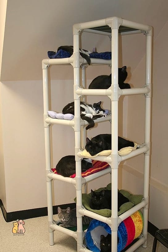 The PVC Pipe Skyscraper
