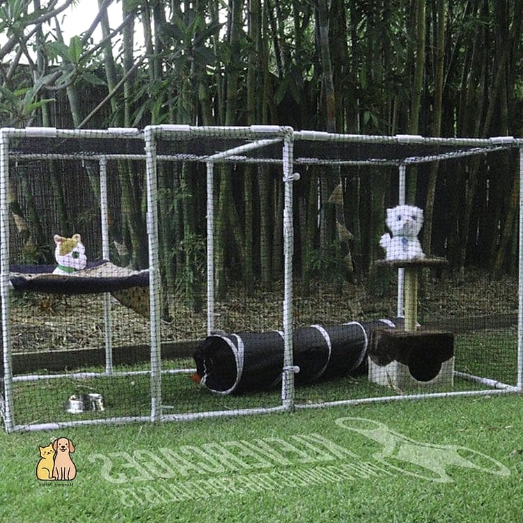 20 Clever Outdoor Cat House Ideas on a Budget 14 PVC Pipe Frame Tent Shelter