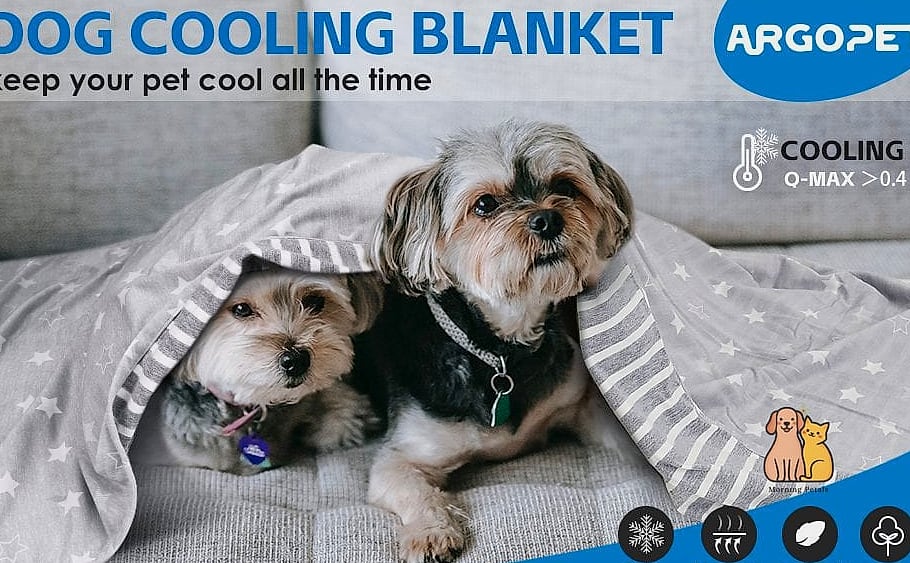 21 Cute Pet Cooling Mats For Summer That Prove Pets Are the Best 6 The Quilted Cooling Blanket Mat