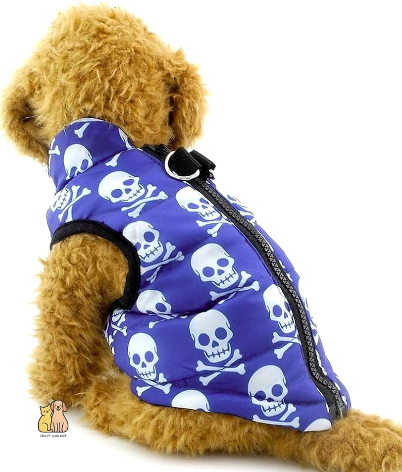 The Quilted Puffer Harness