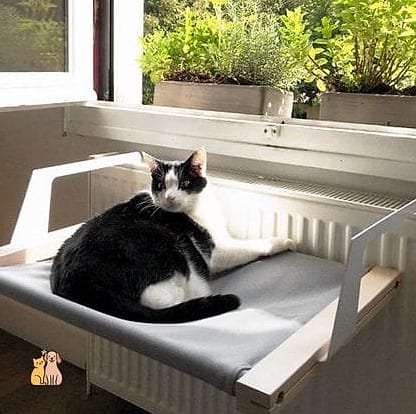The Radiator Hammock