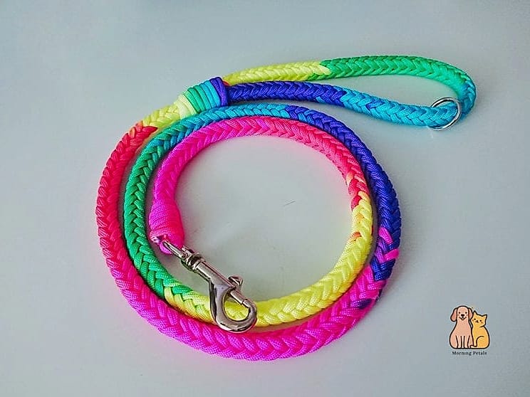 The Rainbow Ombre Leash for a Pop of Color