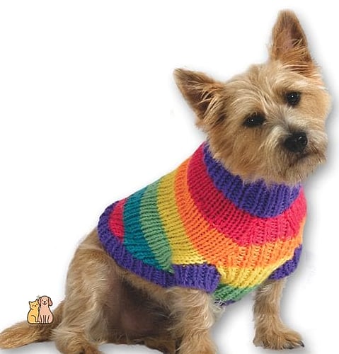 The Rainbow Striped Sweater