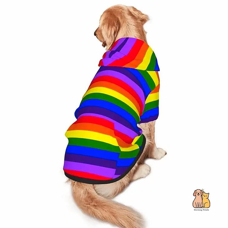 The Rainbow Tie-Dye Vest