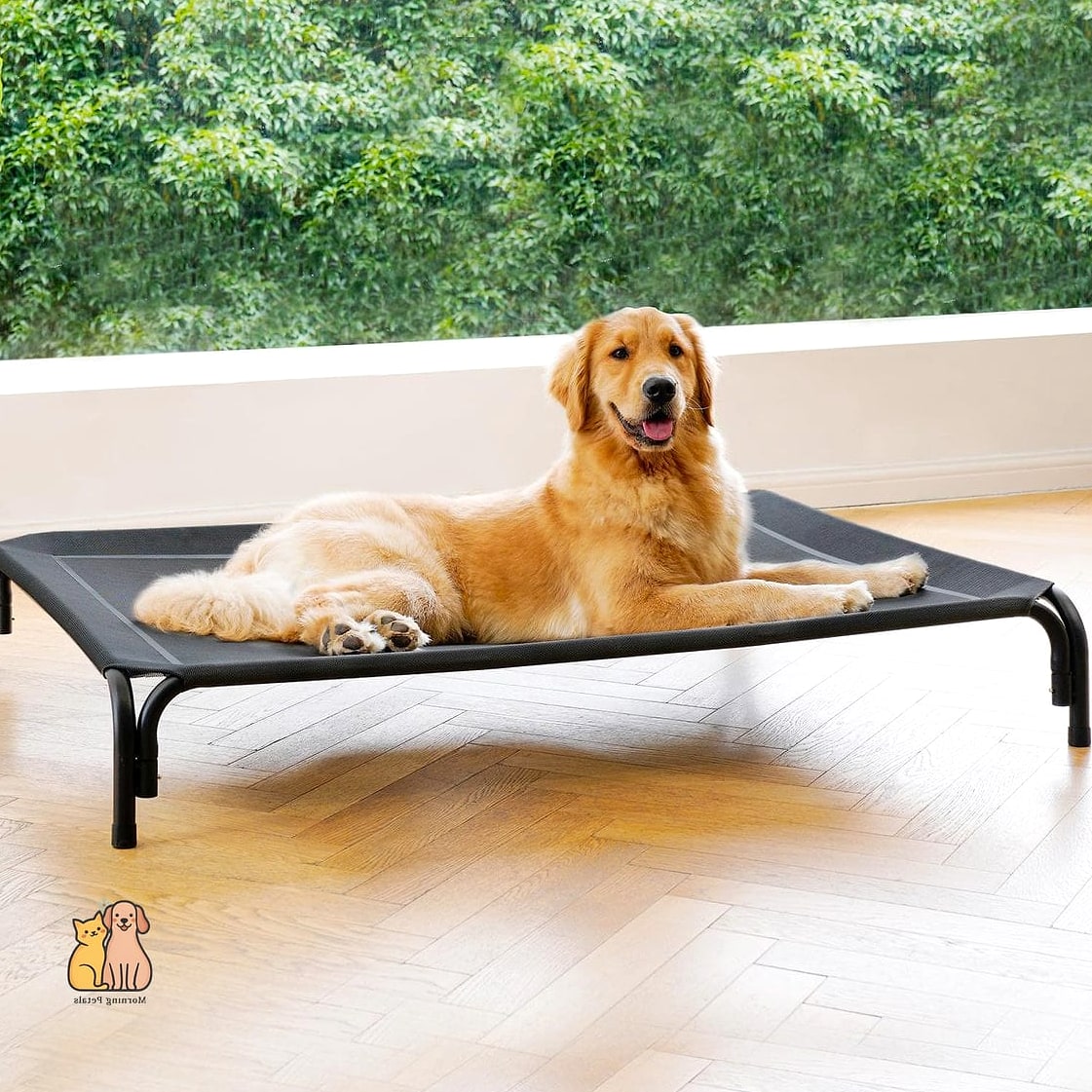 20 Stunning Best Dog Beds You Need in Your Life Right Now 20 Raised Cot-Style Dog Bed for Active Dogs