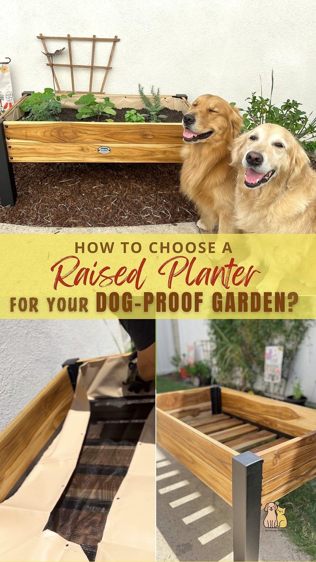 Raised Dog Ramps for Multi-Level Yards