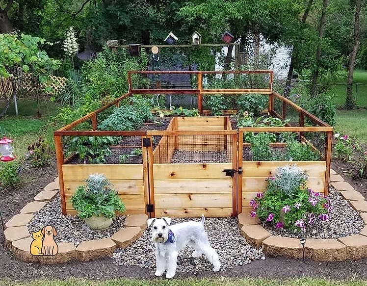 25 Simple Dog Yard Ideas to Try Right Now 6 A Raised Dog Bed on the Patio