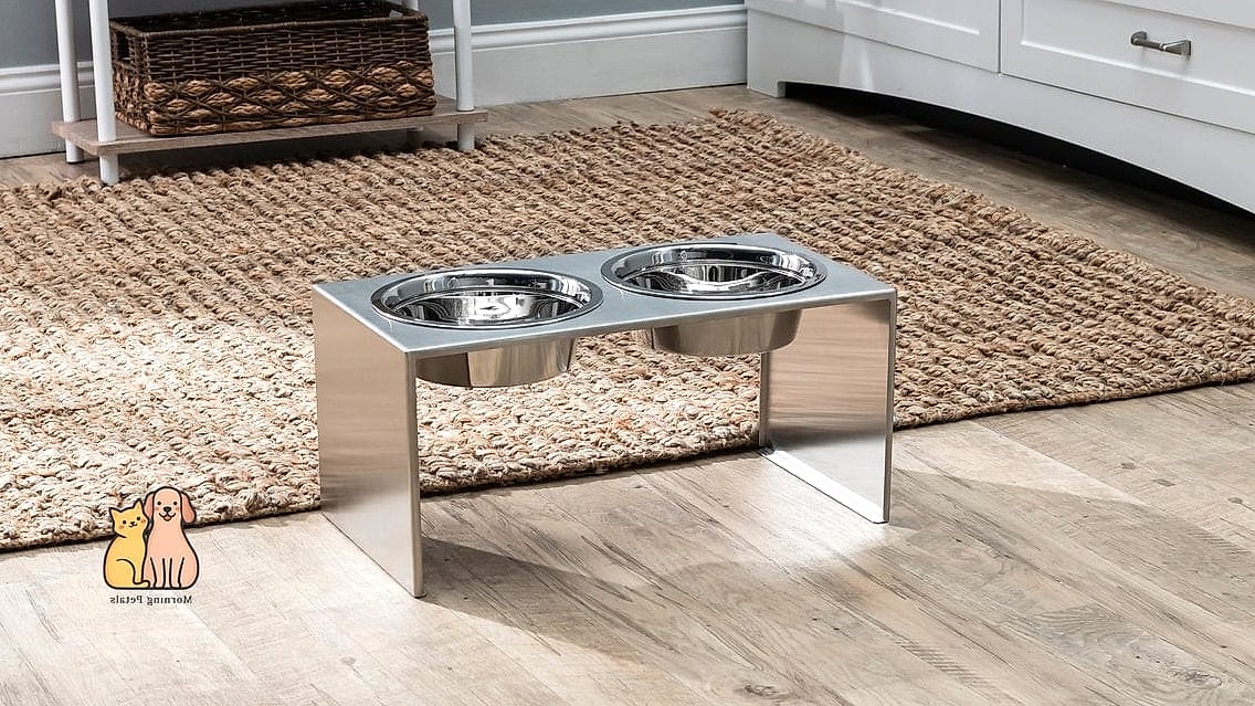The Raised Dog Feeding Station