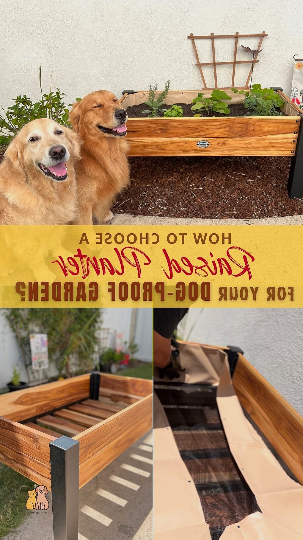 Raised Garden Beds