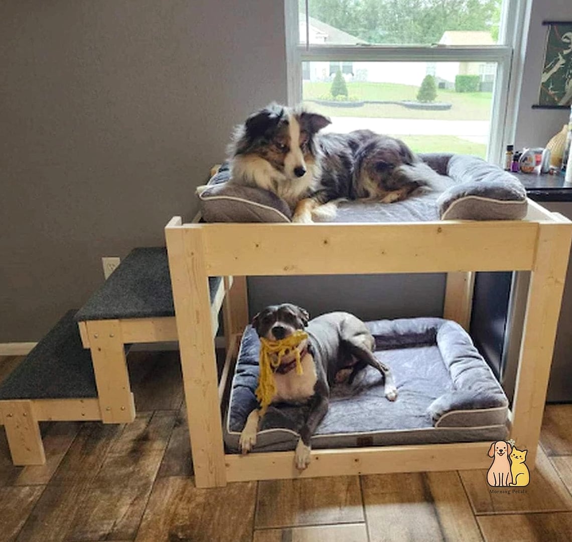 The Raised Platform Bed With Dog Area Below
