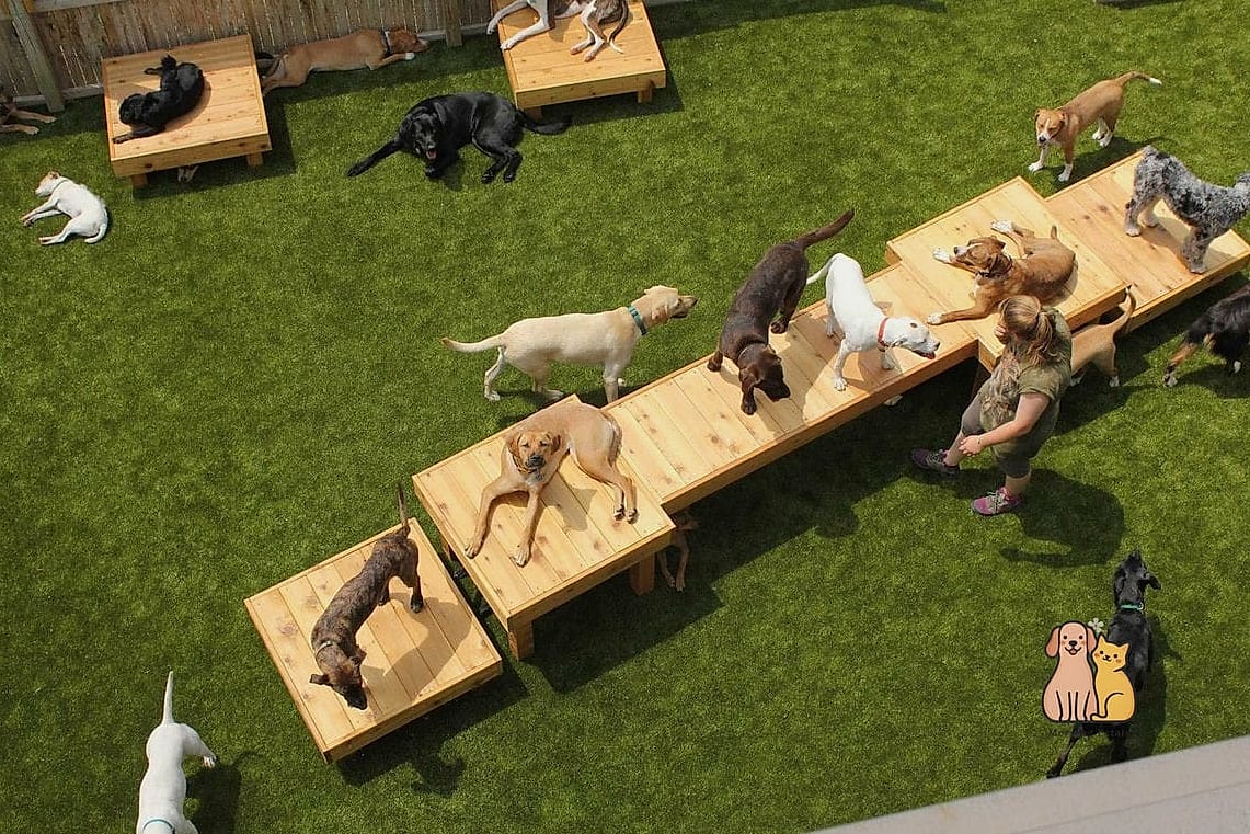 22 Genius Outdoor Dog Shelter Ideas That Are Totally Worth It 3 The Raised Platform Doghouse