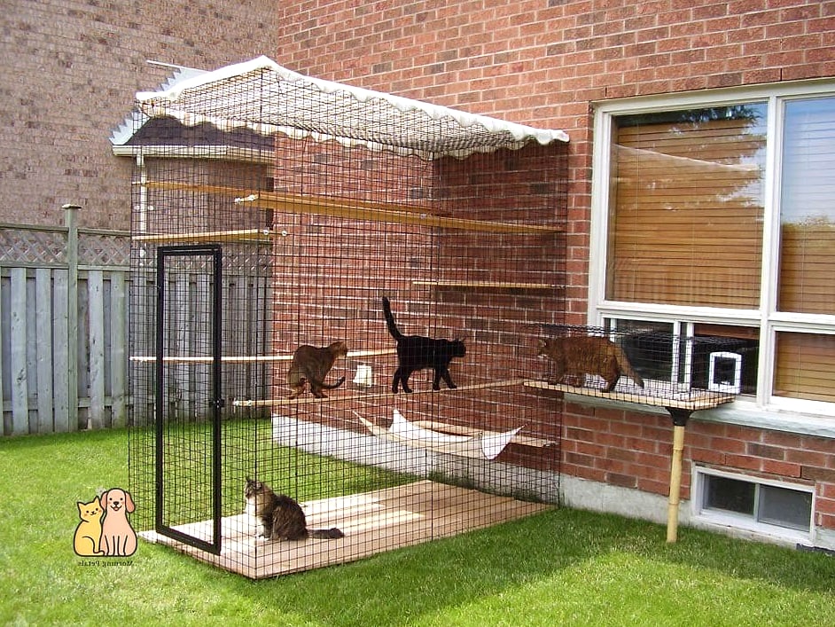 The Raised Platform Catio