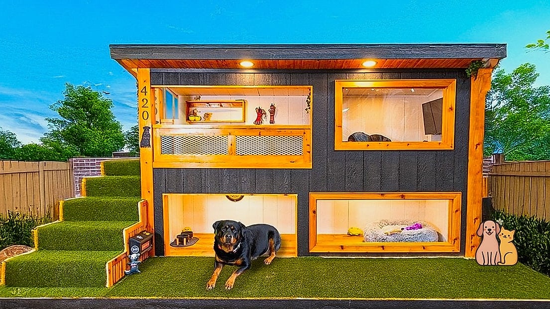23 Incredible Best Dog Houses That Will Make Your Day 4 The Raised Ranch-Style House with Porch