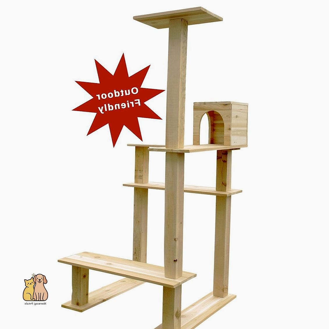 45 Budget-friendly Cat Eating Station Ideas Worth Pinning Immediately 7 The Raised Wooden Riser