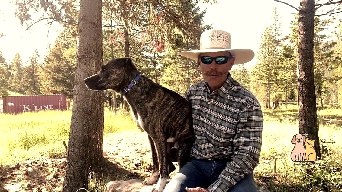19 Country Western Dog Names That Are Totally Unique and Adorable 13 Ranger