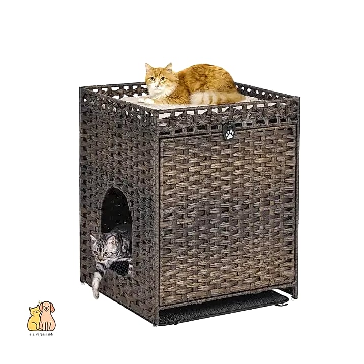 45 Budget-friendly Cat Eating Station Ideas Worth Pinning Immediately 22 The Rattan Tray Setup