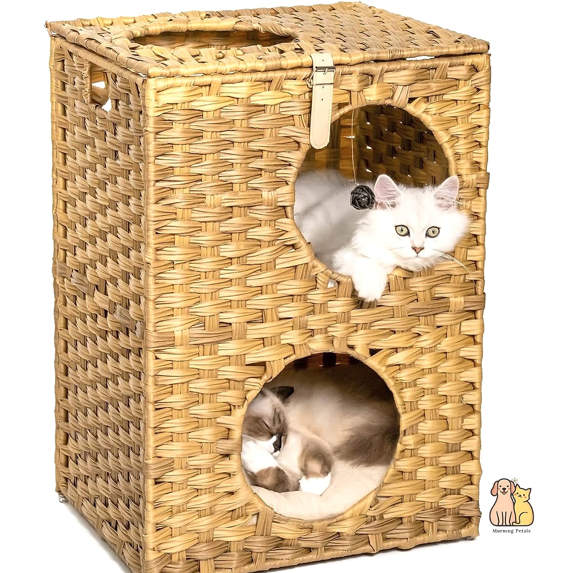 The Rattan Woven Cat Basket