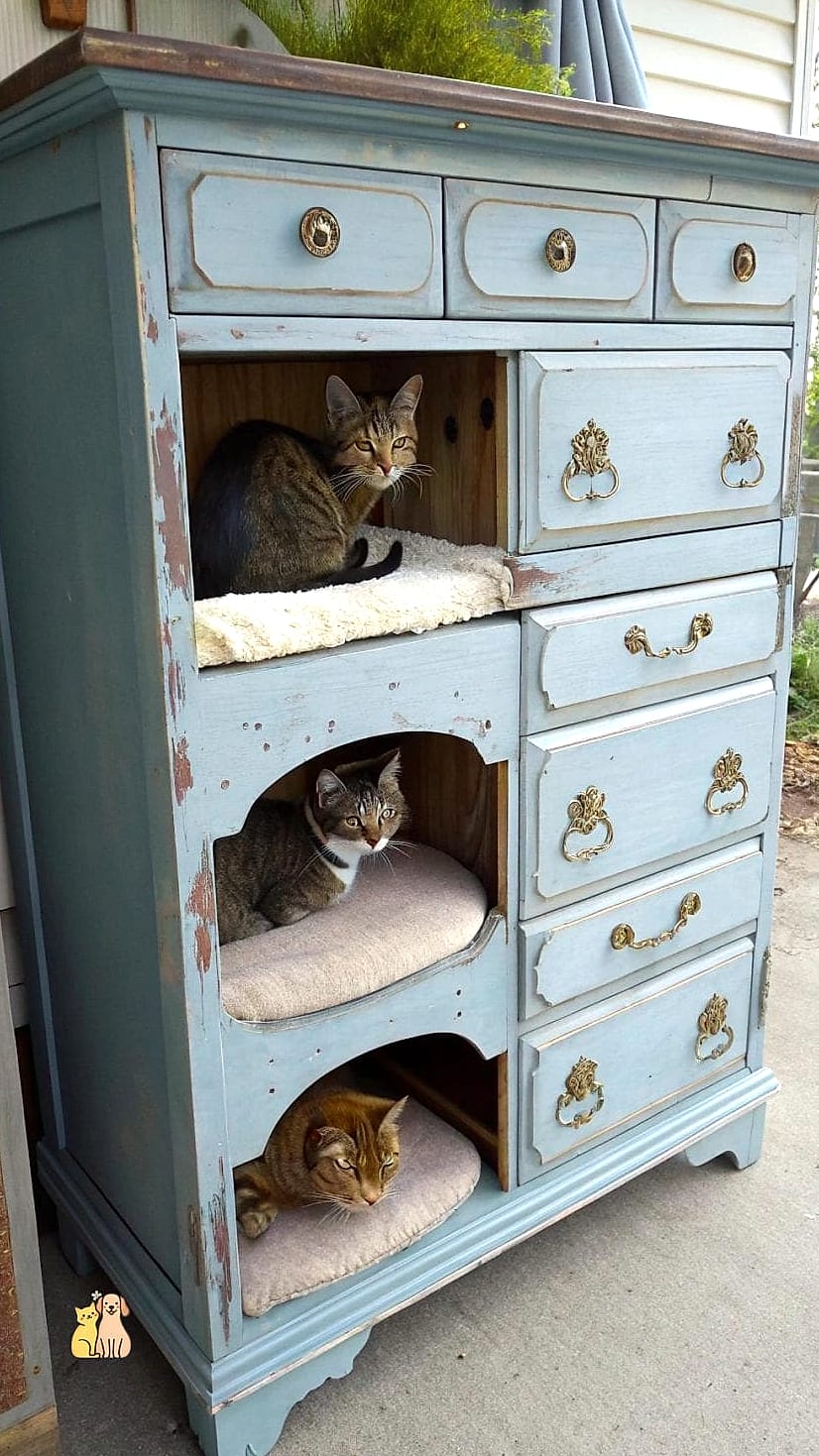 The Reclaimed Door Dresser
