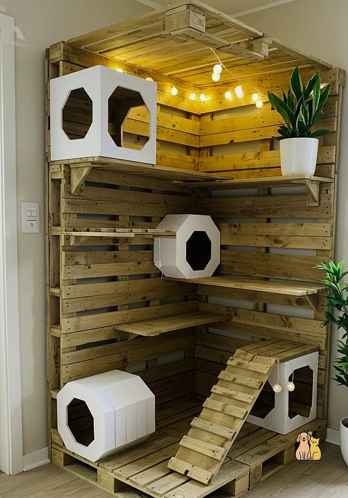 45 Budget-friendly Cat Eating Station Ideas Worth Pinning Immediately 36 The Reclaimed Pallet Wood Stand