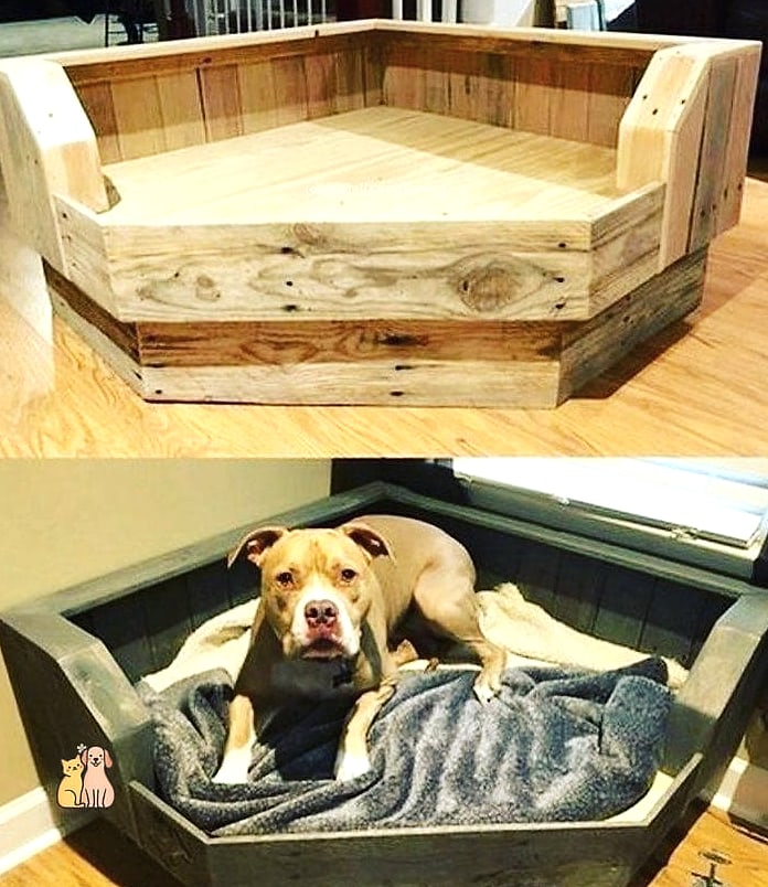 The Recycled Furniture Dog Bath Station