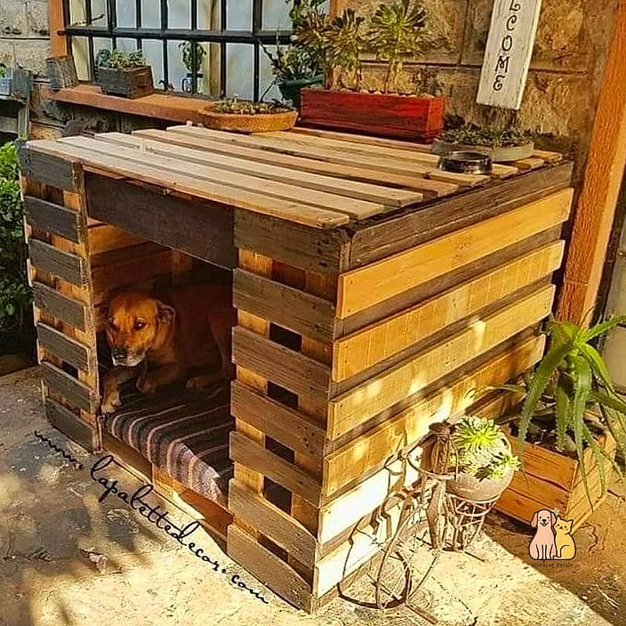 The Recycled Pallet Dog Yard