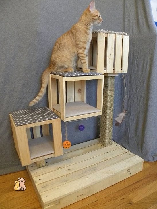 45 Easy Diy Cat Condo to Try Right Now 19 The Recycled Pallet Condo