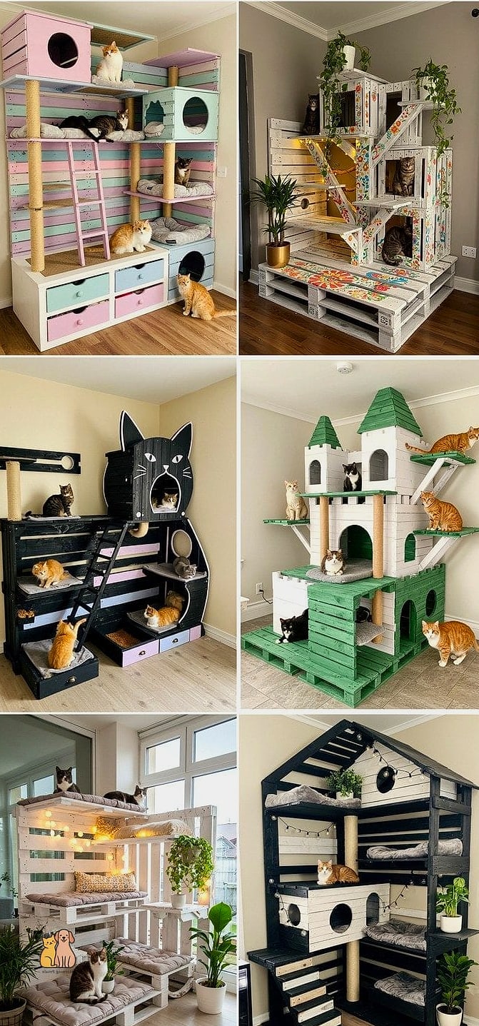 The Recycled Pallet Catio