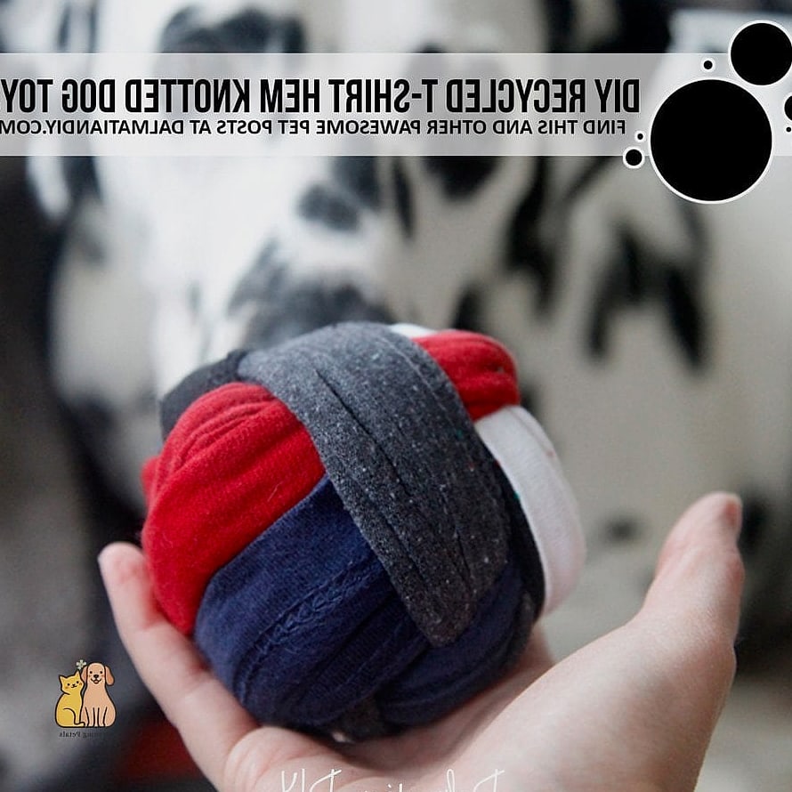 The Recycled T-Shirt Dog Vest