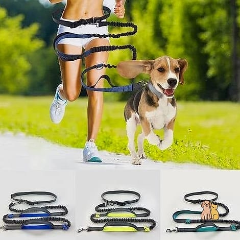 21 Incredible Hands Free Dog Leashes You Need in Your Life Right Now 10 The Reflective Bungee Hiking Leash