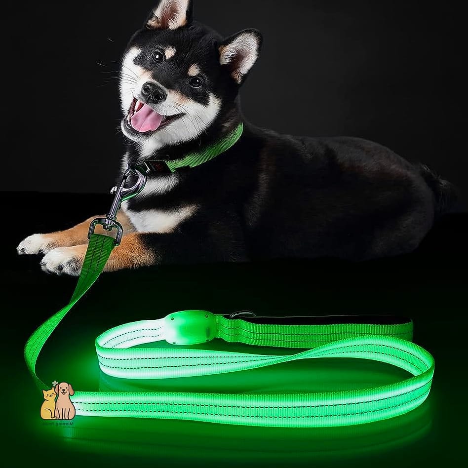 The Reflective Nighttime Safety Leash