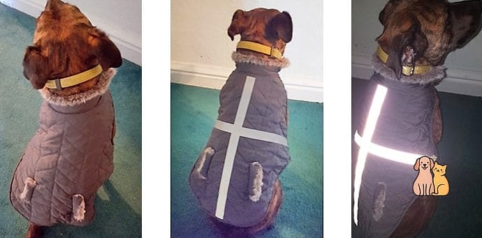 The Reflective Safety Walking Vest