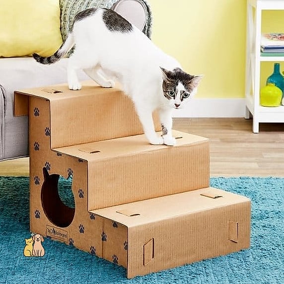 50 Budget-friendly Cat Food Station Ideas Your Pet Will Beg For More 15 The Repainted Step Stool Station