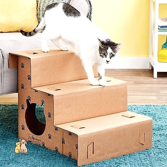 50 Budget-friendly Cat Food Station Ideas Your Pet Will Beg For More 38 The Repainted Step Ladder Shelf