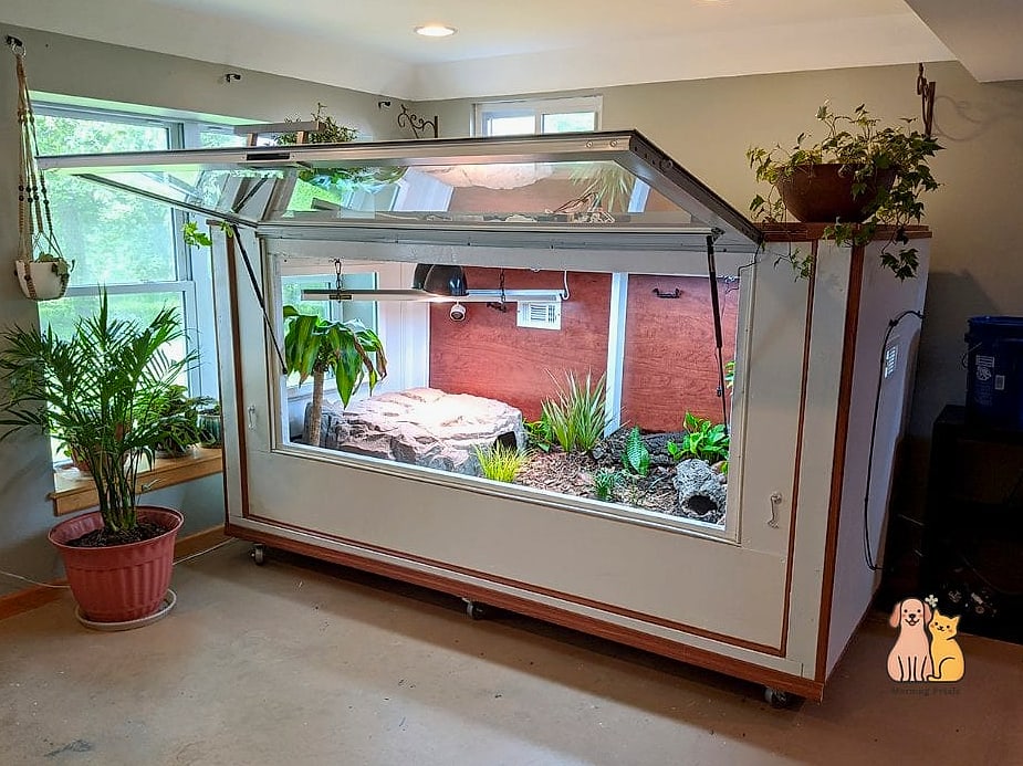 A Reptile Terrarium Display Shelf