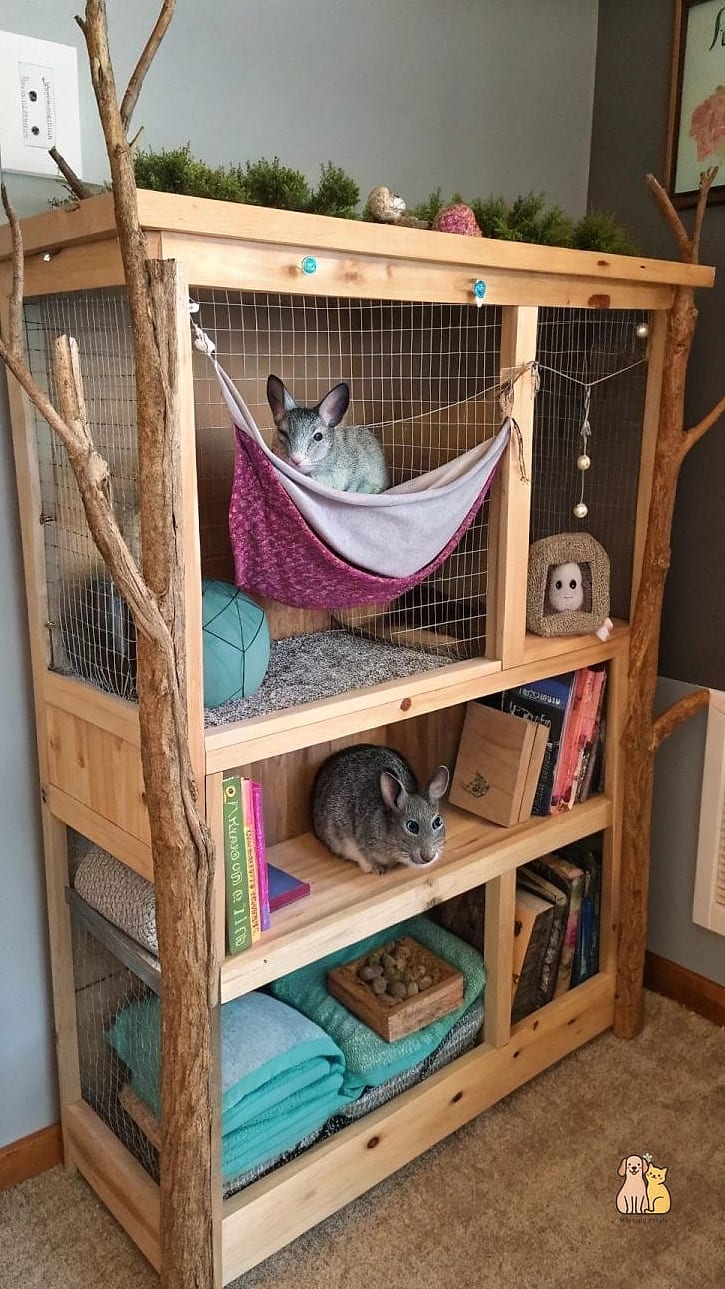 23 Genius Pet Lounge Ideas That Will Inspire You 7 The Repurposed Bookshelf Cat Lounge