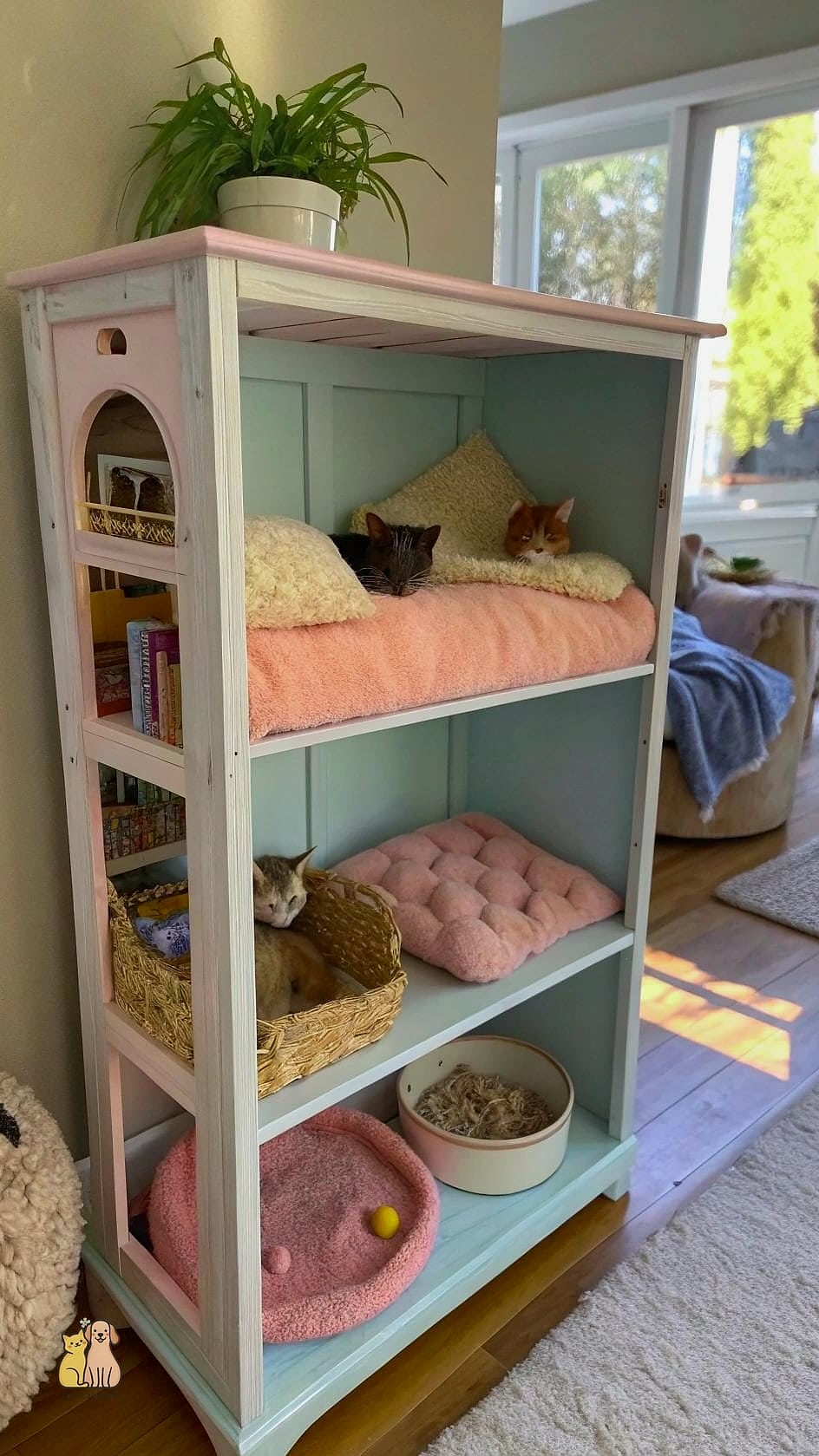 45 Easy Diy Cat Condo to Try Right Now 2 The Repurposed Bookshelf Condo