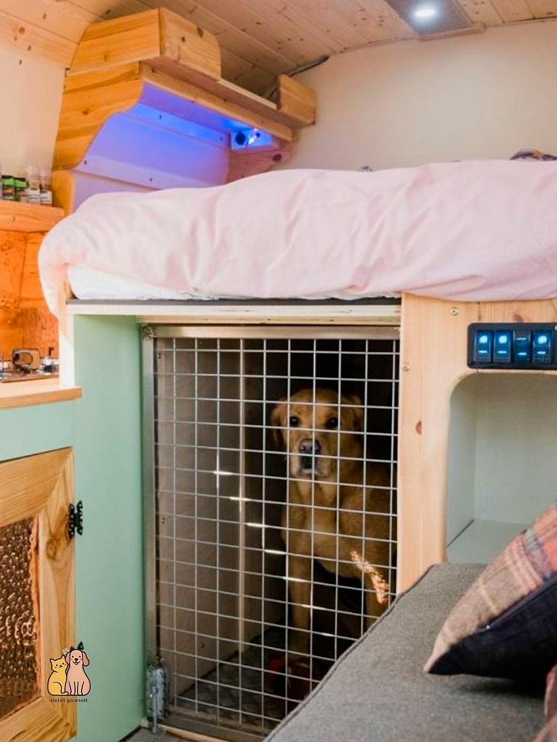 25 Amazing Dog Room In Garage That Are Too Cute to Handle 21 The Repurposed Camper Cushion Den