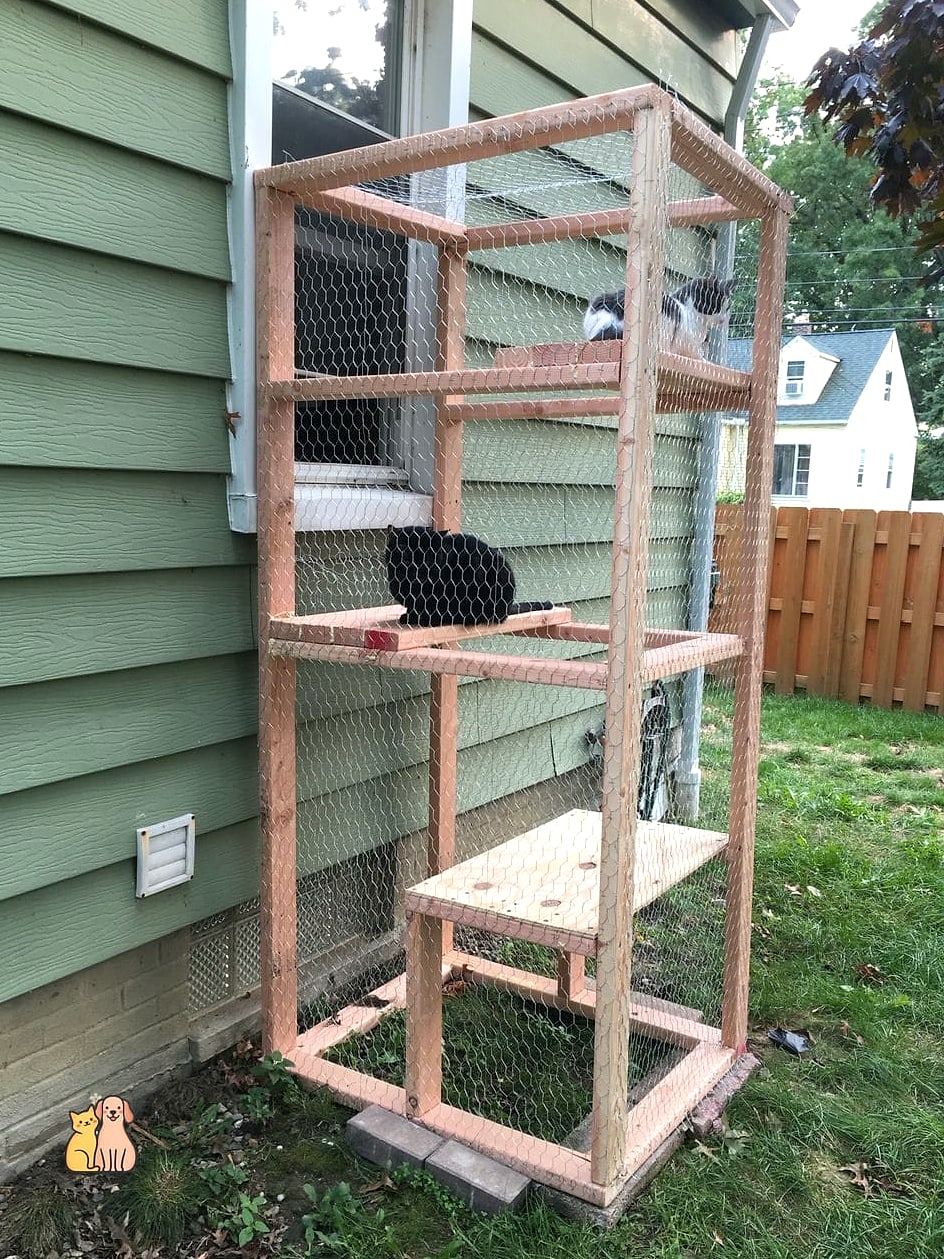 Repurposed Chicken Coop Cat House