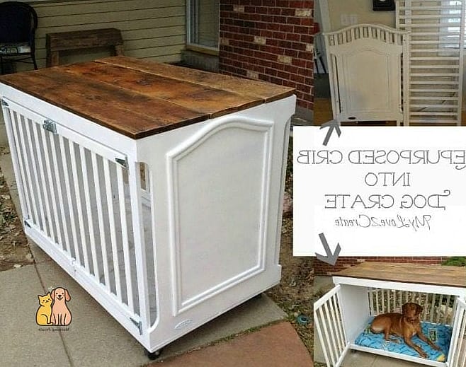 20 Brilliant Homemade Dog Bath Tub on a Budget 17 Repurposed Cooler Dog Bath