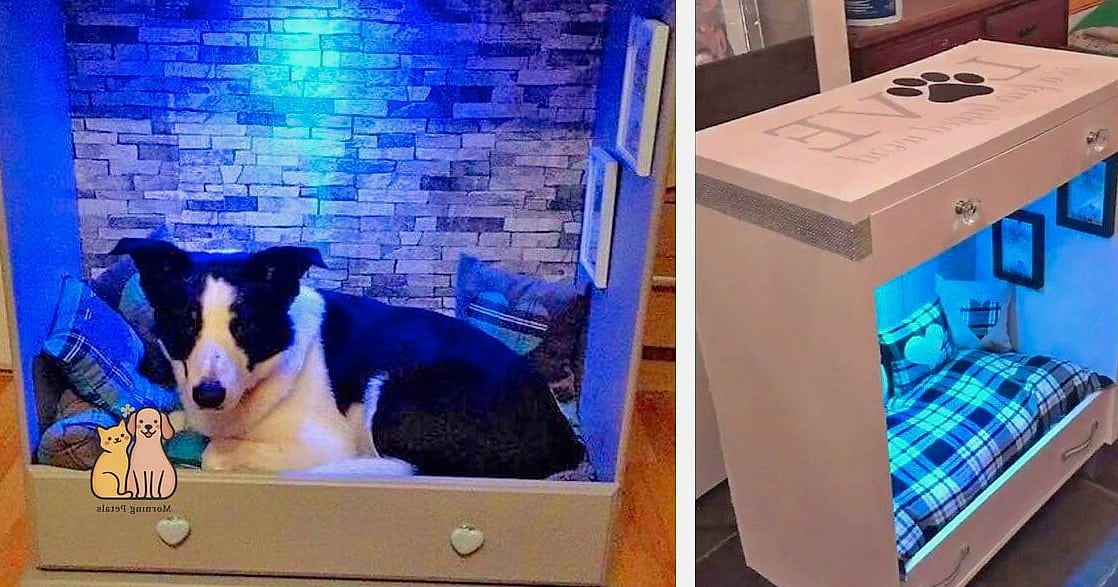 The Repurposed Dog Bed