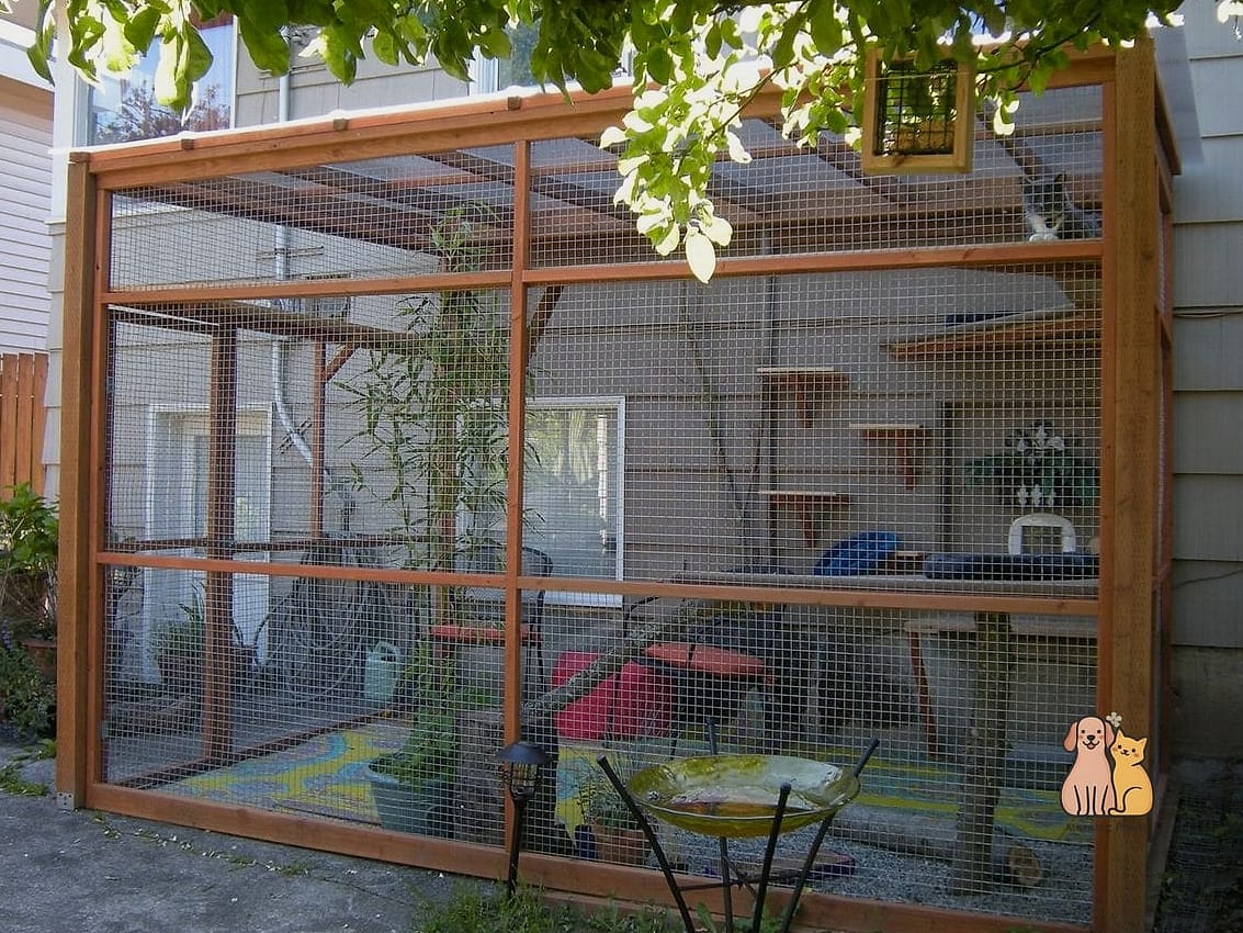 The Repurposed Dog Run Catio